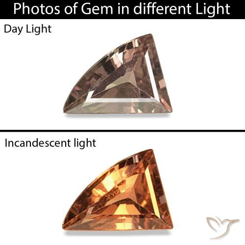 Safira que muda de cor Marrom escuro Natural 0.30ct, Forma extravagante, VVS-VS