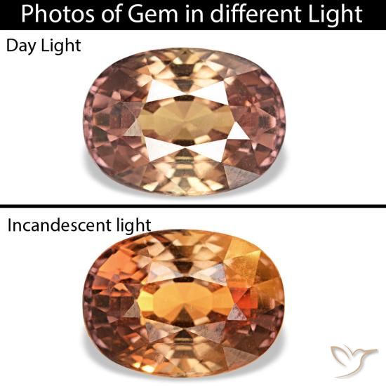 Safira de mudança de cor marrom natural 1,45ct, corte oval, VVS