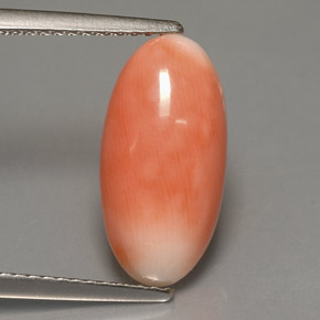 Coral bicolor natural 3,18ct, corte oval, opaco