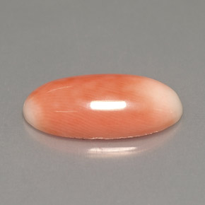 Coral bicolor natural 3,18ct, corte oval, opaco