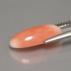 Coral bicolor natural 3,18ct, corte oval, opaco