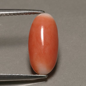 Coral bicolor natural 2,23ct, corte oval, opaco