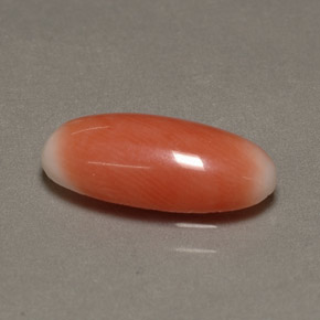 Coral bicolor natural 2,23ct, corte oval, opaco
