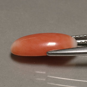 Coral bicolor natural 2,23ct, corte oval, opaco