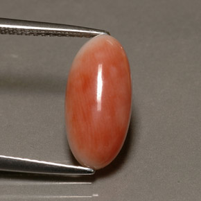 Coral rosa natural 3,10ct, corte oval, opaco