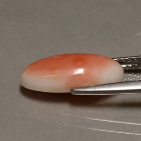 Coral rosa natural 3,10ct, corte oval, opaco