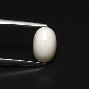 Coral branco natural 2,49ct, corte oval, opaco