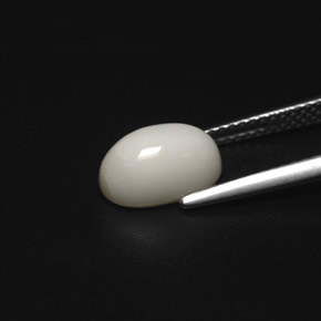 Coral branco natural 2,49ct, corte oval, opaco