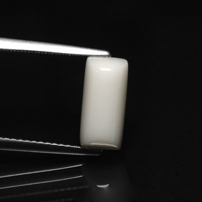 Coral branco natural 2,76ct, baguete, opaco
