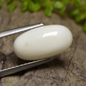 Coral branco natural 2,47ct, corte oval, opaco