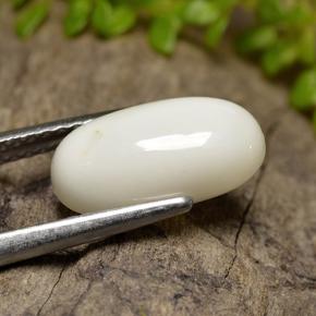 Coral branco natural 2,47ct, corte oval, opaco