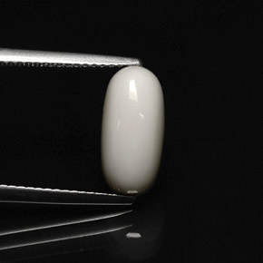Coral branco natural 2,91ct, corte oval, opaco