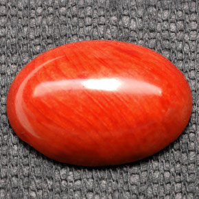 Coral laranja natural 7,43ct, corte oval, opaco