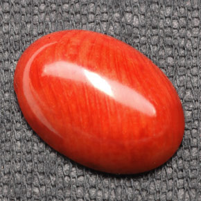 Coral laranja natural 7,43ct, corte oval, opaco