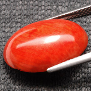 Coral laranja natural 7,43ct, corte oval, opaco