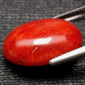 Coral Laranja Natural 9.84ct, Corte Oval, Opaco