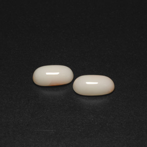 Pedras preciosas de coral branco natural de  ct, corte oval, opaco