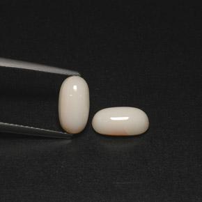 Pedras preciosas de coral branco natural de  ct, corte oval, opaco