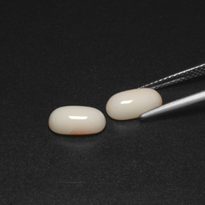 Pedras preciosas de coral branco natural de  ct, corte oval, opaco