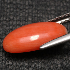 Coral Salmão Natural 2.83ct, Corte Oval, Opaco