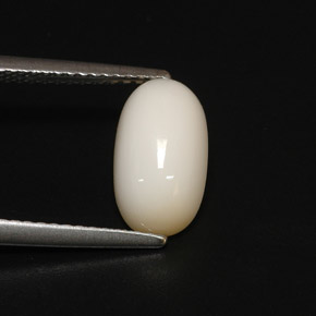 Coral branco natural 2,81ct, corte oval, opaco