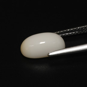 Coral branco natural 2,81ct, corte oval, opaco