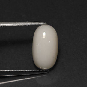 Coral branco natural 2,78ct, corte oval, opaco