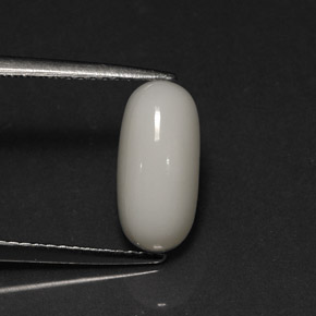 Coral branco natural 2,73ct, corte oval, opaco