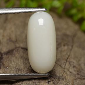 Coral branco natural 2,50ct, corte oval, opaco