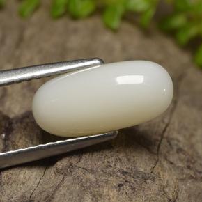 Coral branco natural 2,50ct, corte oval, opaco