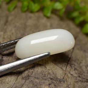 Coral branco natural 2,50ct, corte oval, opaco