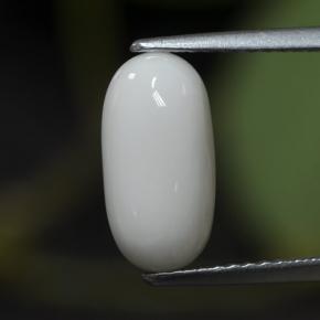 Coral branco natural 2,63ct, corte oval, opaco