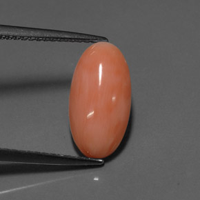 Coral rosa natural 2,52ct, corte oval, opaco