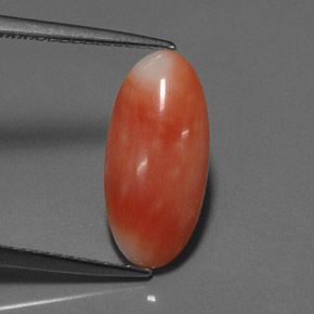 Coral rosa natural 2,55ct, corte oval, opaco