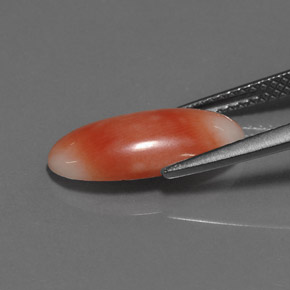 Coral rosa natural 2,55ct, corte oval, opaco