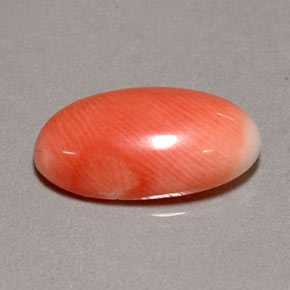Coral rosa natural 2,85ct, corte oval, opaco