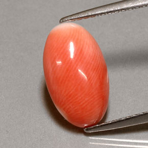 Coral rosa natural 2,85ct, corte oval, opaco
