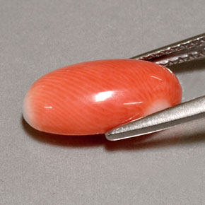 Coral rosa natural 2,85ct, corte oval, opaco