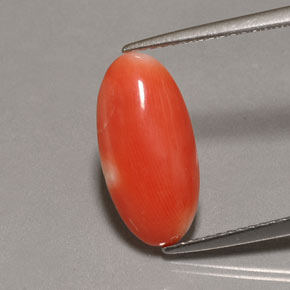 Coral rosa natural 2,62ct, corte oval, opaco