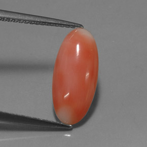 Coral rosa natural 2,03ct, corte oval, opaco