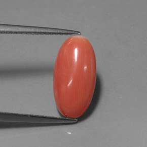 Coral rosa natural 2,76ct, corte oval, opaco