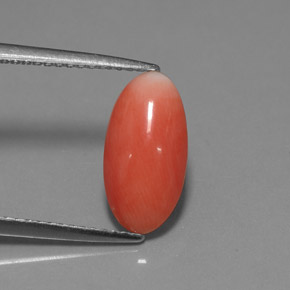 Coral rosa natural 1,69ct, corte oval, opaco