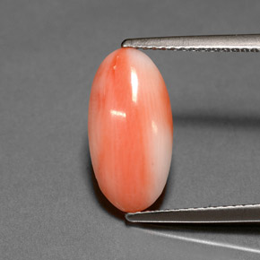 Coral rosa natural 2,00ct, corte oval, opaco