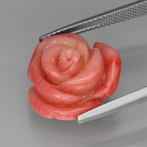 Coral rosa natural 13,65ct, forma extravagante, opaco