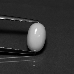 Coral branco natural 2,29ct, corte oval, opaco