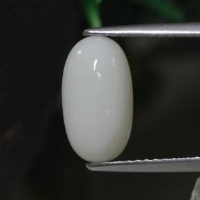 Coral branco natural 2,30ct, corte oval, opaco
