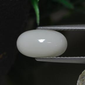 Coral branco natural 2,30ct, corte oval, opaco