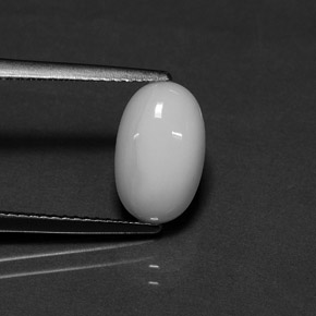 Coral branco natural 2,54ct, corte oval, opaco