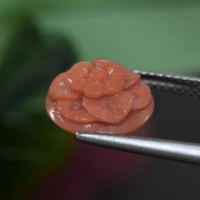 Coral Rosa Salmão Profundo Natural 3.63ct, Flor cortada, Opaco