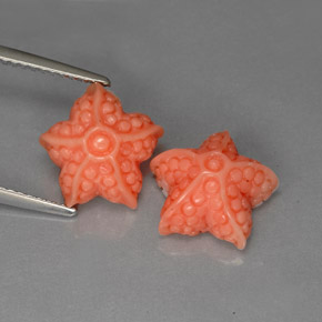 Pedras preciosas de coral rosa natural de  ct, forma extravagante, opaco